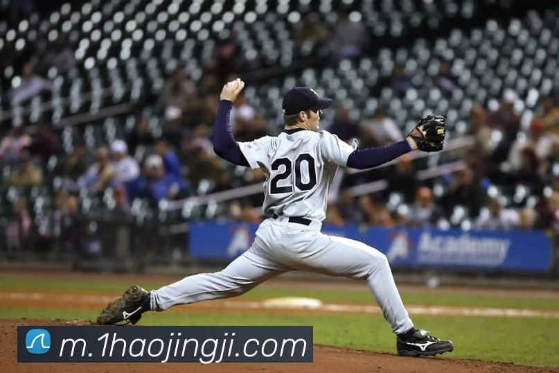 多媒体互动体验